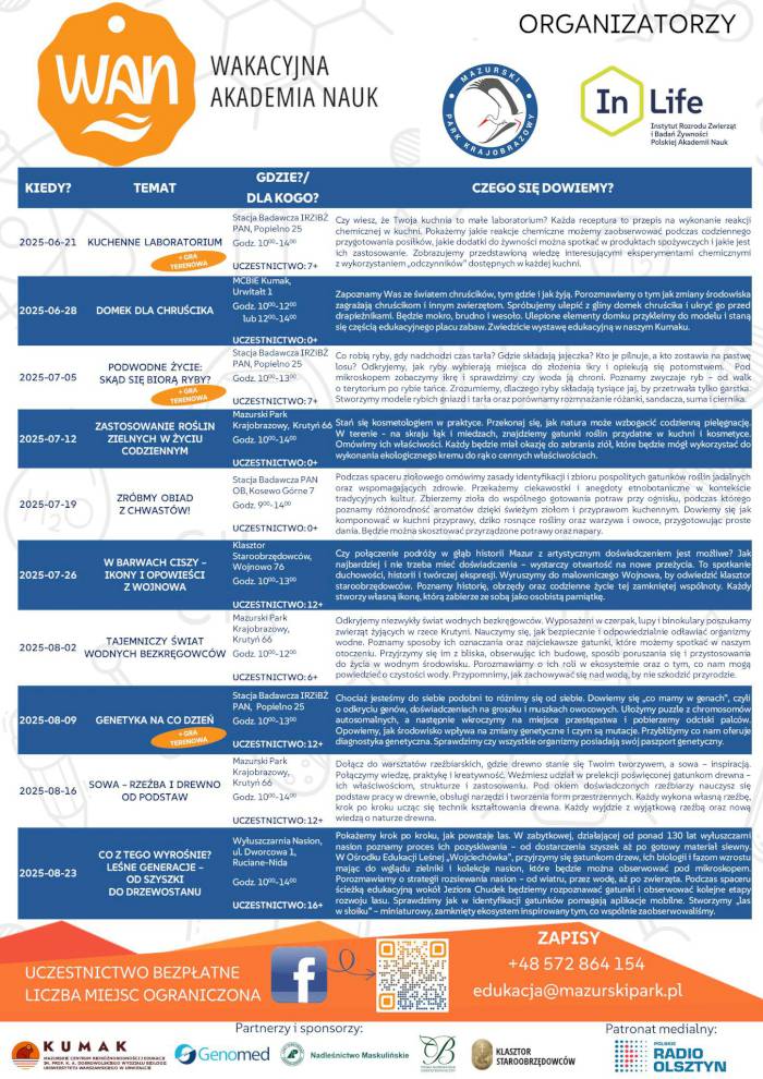 Sowa - rzeźba i drewno od podstaw