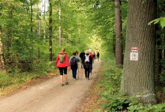 Szlak Pięciu Jezior, fot. Robert Wróbel