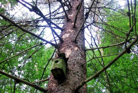 W Rezerwacie &quot;Zakręt&quot;, foto Beata Gida