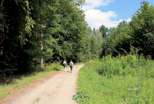 Szlak Pięciu Jezior, fot. Robert Wróbel