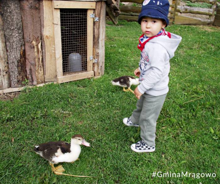 Atrakcje dla rodzin z dziećmi w Gminie Mrągowo