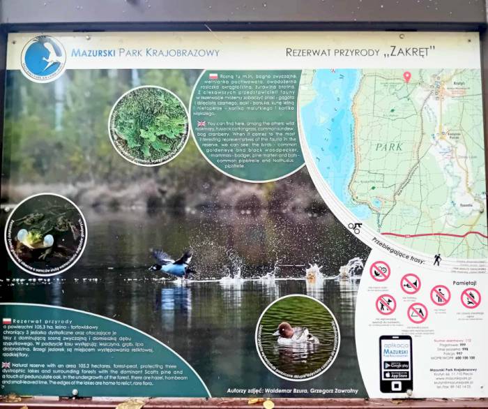 Rezerwat Przyrody Zakręt