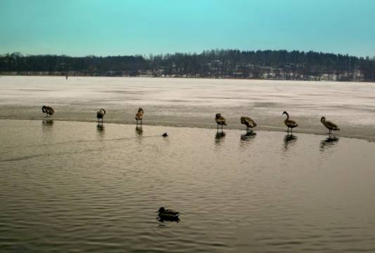 foto Marian Modzelewski