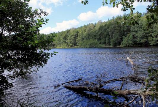 Szlak Pięciu Jezior, fot. Robert Wróbel, Beata Gida