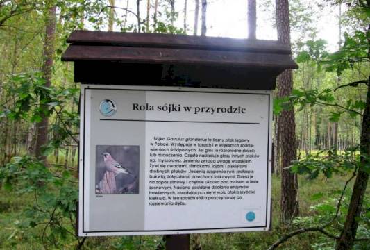 Tablica informacyjna w Rezerwacie &quot;Zakręt&quot;, foto Beata Gida