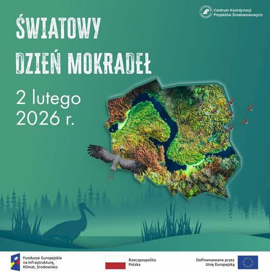 Światowy Dzień Mokradeł – skarby natury w sercu Mazur