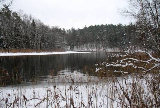 Rzeka Krutynia zimą, foto Robert Wróbel