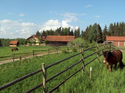 Gospodarstwo agroturystyczne Borowski Las