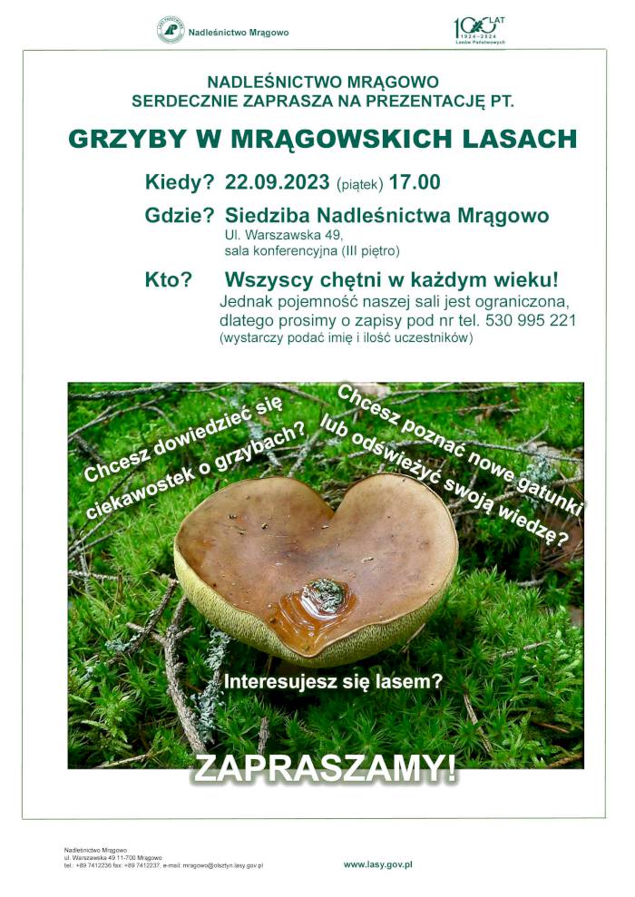 Grzyby w mrągowskich lasach