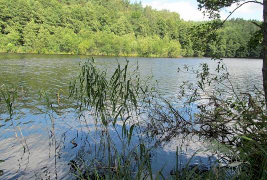 Szlak Pięciu Jezior, fot. Robert Wróbel, Beata Gida