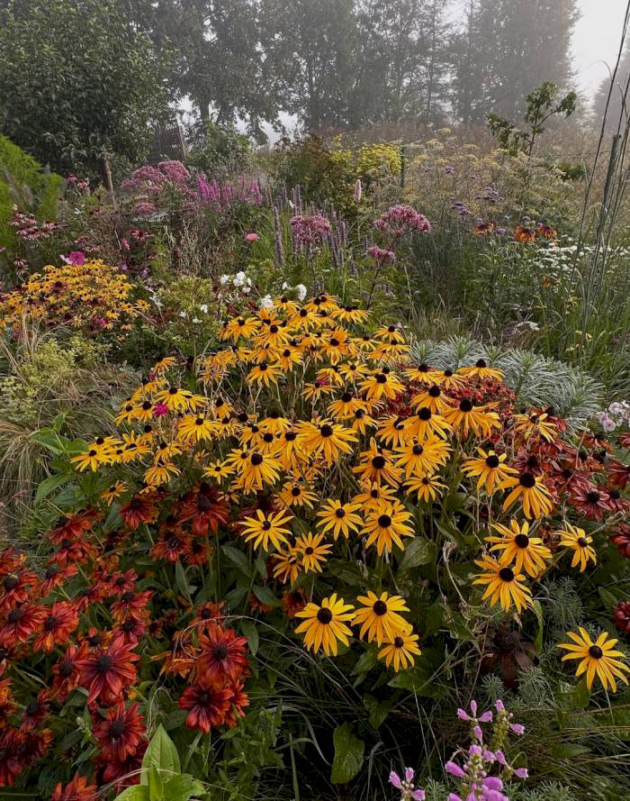 Ogrody Markiewicz – jesień w pełnym blasku