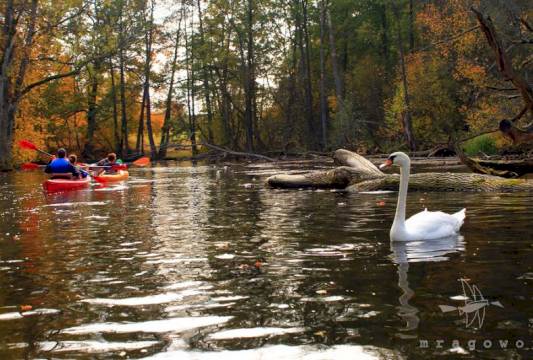 Spływ kajakiem po Krutyni, fot. Robert Wróbel