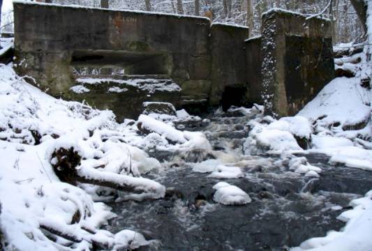 Ruiny młyna w Rezerwacie &quot;Pierwos&quot;, foto Robert Wróbel
