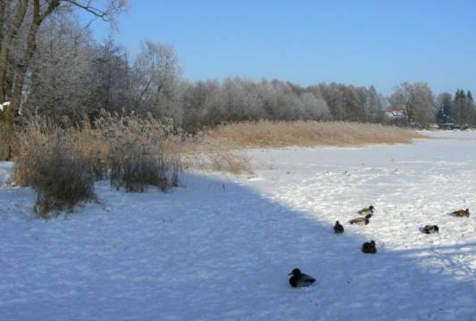 Jezioro Czos, foto Beata Gida