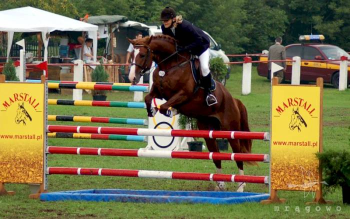 Regionalne Zawody w Skokach przez Przeszkody