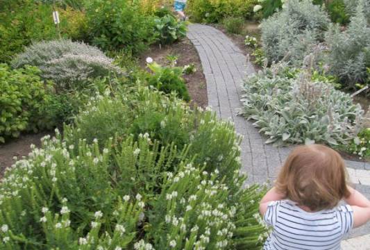 Ogrody Pokazowe i Motylarnia w Marcinkowie, fot. Beata Gida