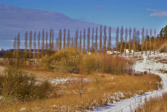 foto Marian Modzelewski