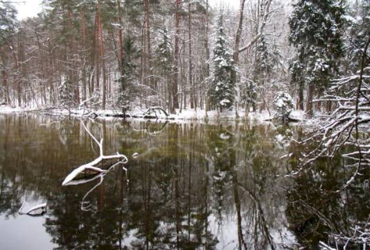 Rzeka Krutynia zimą, foto Robert Wróbel