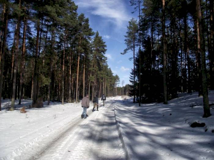 Zimowy Rajd pieszy Szlakiem Pięciu Jezior