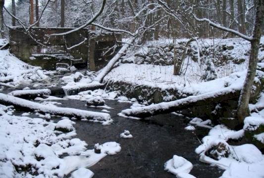 Ruiny młyna w Rezerwacie &quot;Pierwos&quot;, foto Robert Wróbel