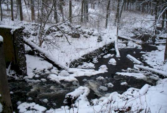 Ruiny młyna w Rezerwacie &quot;Pierwos&quot;, foto Robert Wróbel