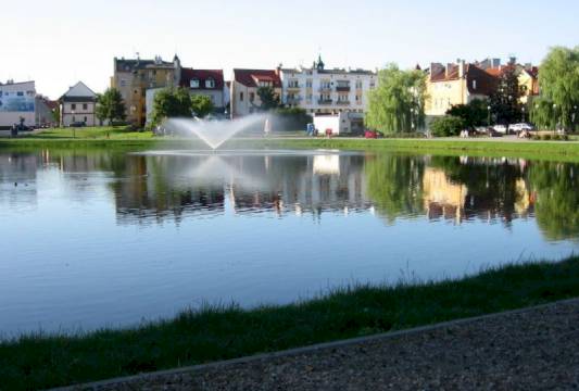 Jeziorko Magistrackie, foto Beata Gida