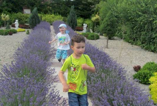 Ogrody Pokazowe i Motylarnia w Marcinkowie, fot. Beata Gida