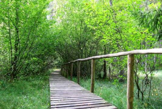 Kładki pomagają w przejściu przez obmokłe tereny, foto Beata Gida