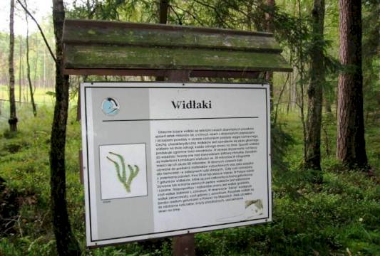 Tablica informacyjna w Rezerwacie &quot;Zakręt&quot;, foto Beata Gida