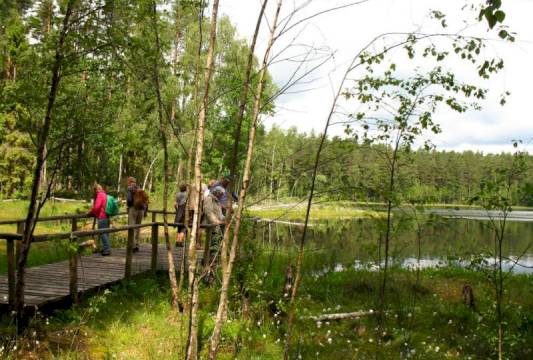 W Rezerwacie &quot;Królewska Sosna&quot;, foto Robert Wróbel