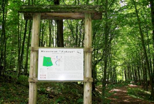 Rezerwat &quot;Zakręt&quot;, foto Beata Gida