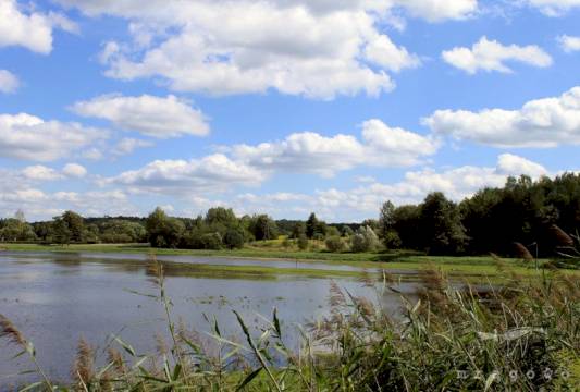 Szlak Pięciu Jezior, fot. Robert Wróbel, Beata Gida