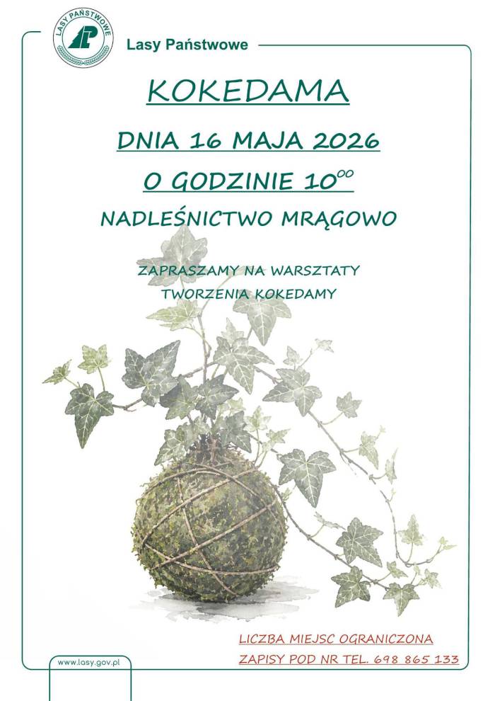 Warsztaty kokedamy