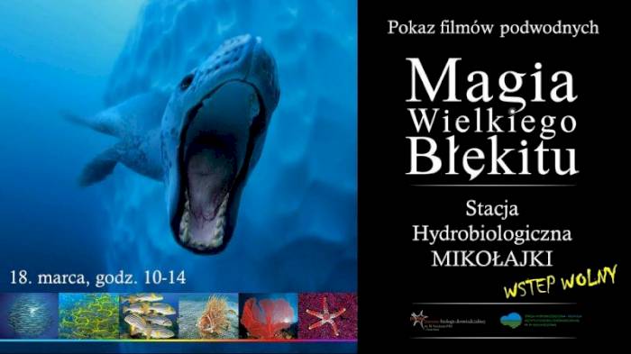 Magia Wielkiego Błękitu