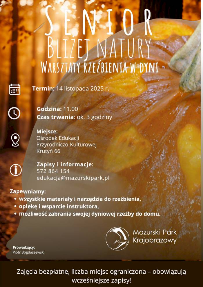 Senior bliżej natury – warsztaty rzeźbienia w dyni