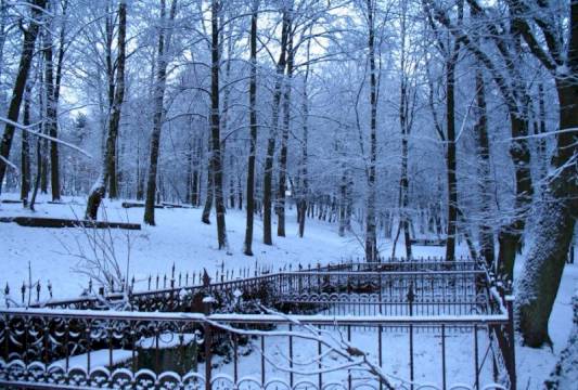 Teren po byłym cmentarzu, który istniał w latach 1853 - 1998. Foto Robert Wróbel