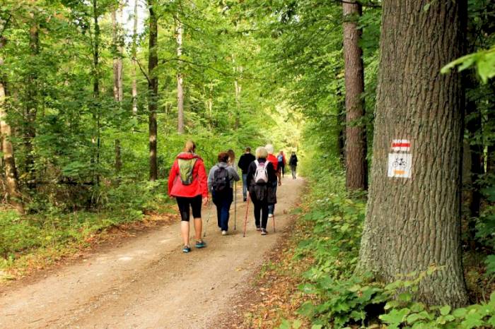 Rajd pieszy Szlakiem Pięciu Jezior