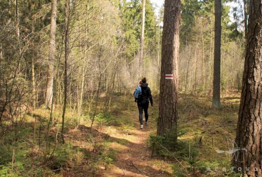 Szlak Pięciu Jezior, fot. Robert Wróbel