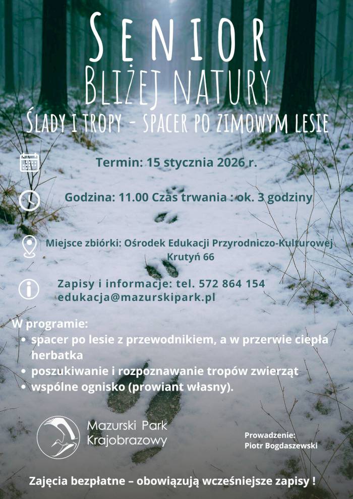 Senior bliżej natury – zimowy spacer po lesie