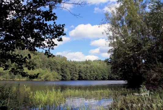 Szlak Pięciu Jezior, fot. Robert Wróbel, Beata Gida