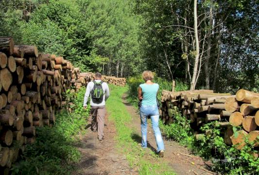 Szlak Pięciu Jezior, fot. Beata Gida