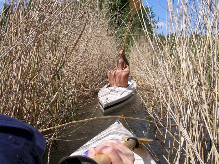 Spływ kajakowy szlakiem Dajny 2016