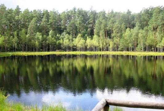 Jeziorko dystroficzne w Rezerwacie &quot;Zakręt&quot;, foto Beata Gida