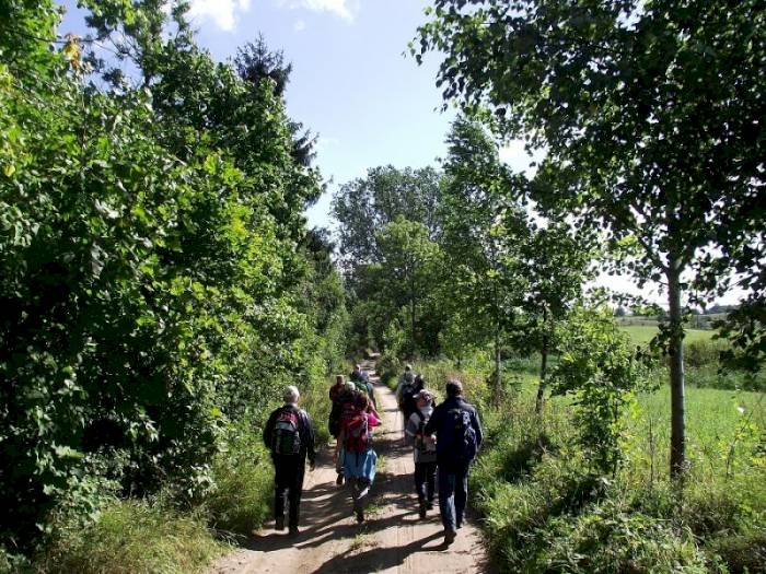 Imprezy krajoznawcze styczeń-maj