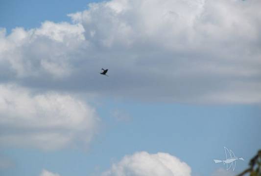 Szlak Pięciu Jezior, fot. Robert Wróbel, Beata Gida