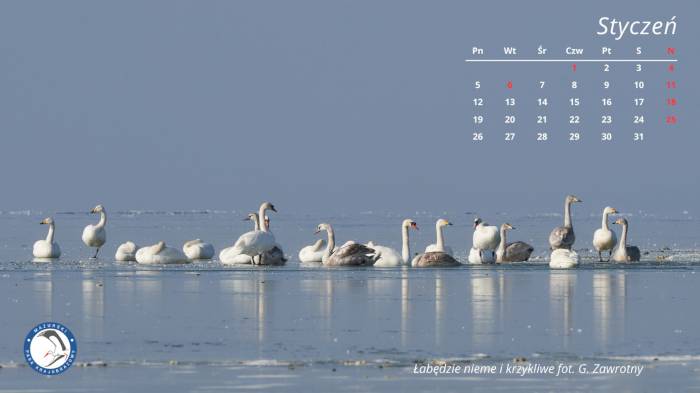 Tapeta na styczeń 2026