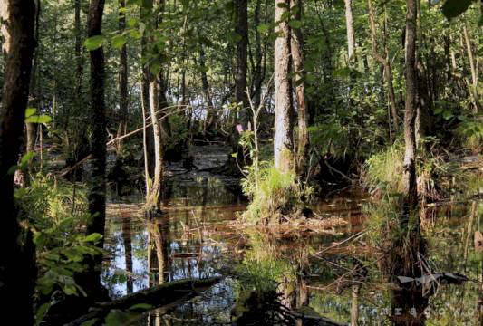 Szlak Pięciu Jezior, fot. Robert Wróbel, Beata Gida