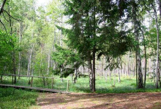 Kładki pomagają w przejściu przez obmokłe tereny, foto Beata Gida