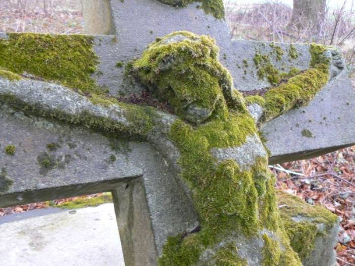 Zwiedzając Warmię - Wapnik