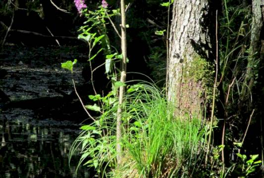 Szlak Pięciu Jezior, fot. Robert Wróbel, Beata Gida